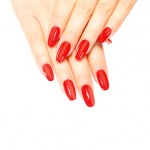 Gel-Lack Meisterschft 2014